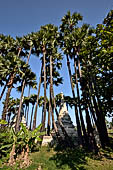 Myanmar - Inwa, stupas nearby the Bagaya Kyaung wooden monastery. 